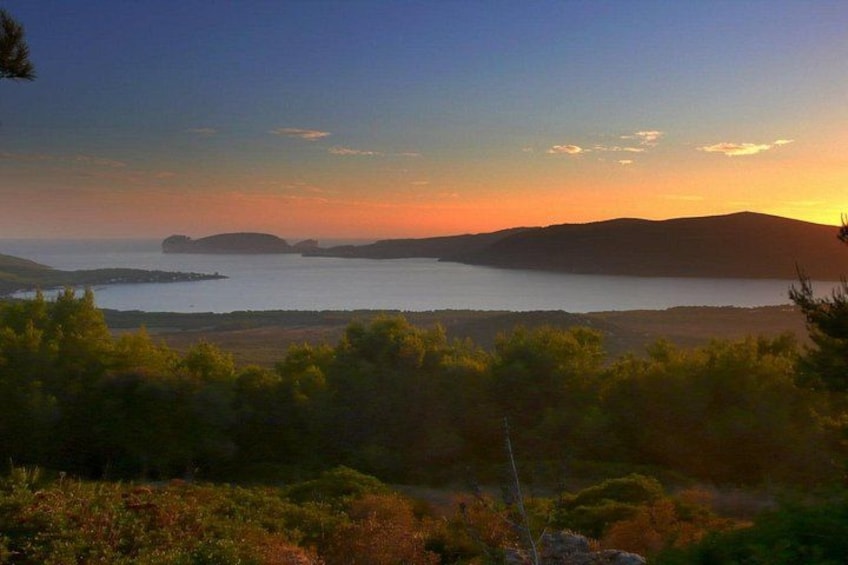 Guided E-bike Tour of Alghero's Coast From Fertilia 2