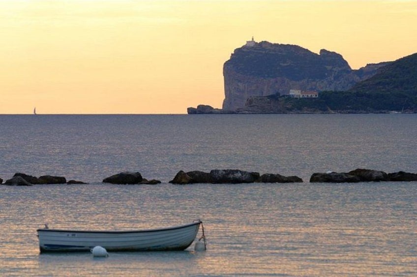 Guided E-bike Tour of Alghero's Coast From Fertilia 4