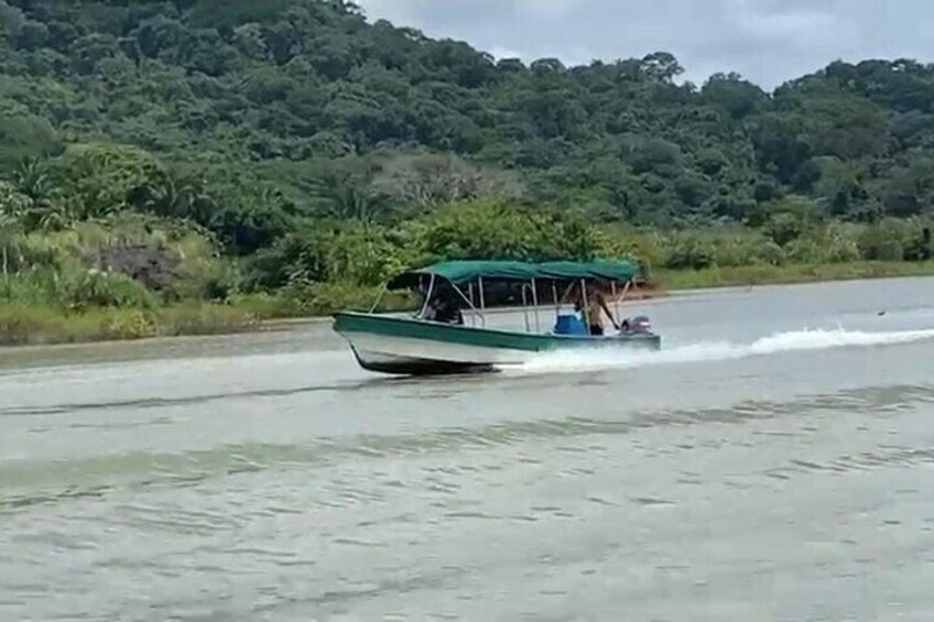 Un bote verde con toldo deslizándose sobre aguas tranquilas, rodeado de abundante vegetación y colinas. 5