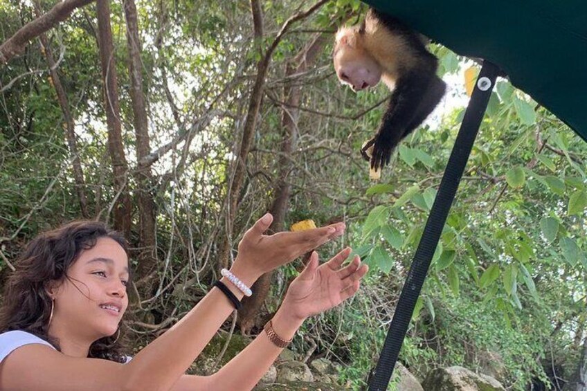 Una persona alimentando a un mono desde una plataforma. 2