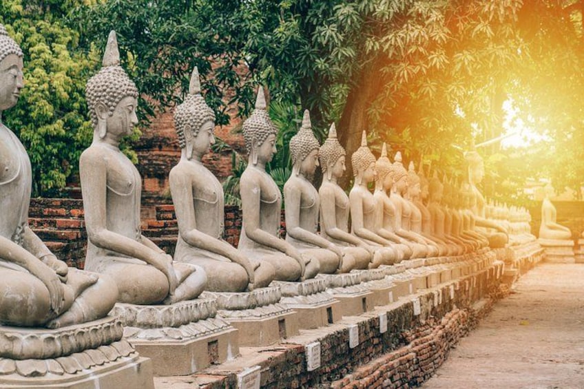 En rad sittande Buddha-statyer i en trädgård. 4