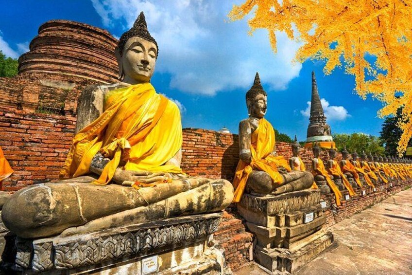Una hilera de estatuas de Buda en un entorno de templo, con cielo despejado y follaje otoñal. 2