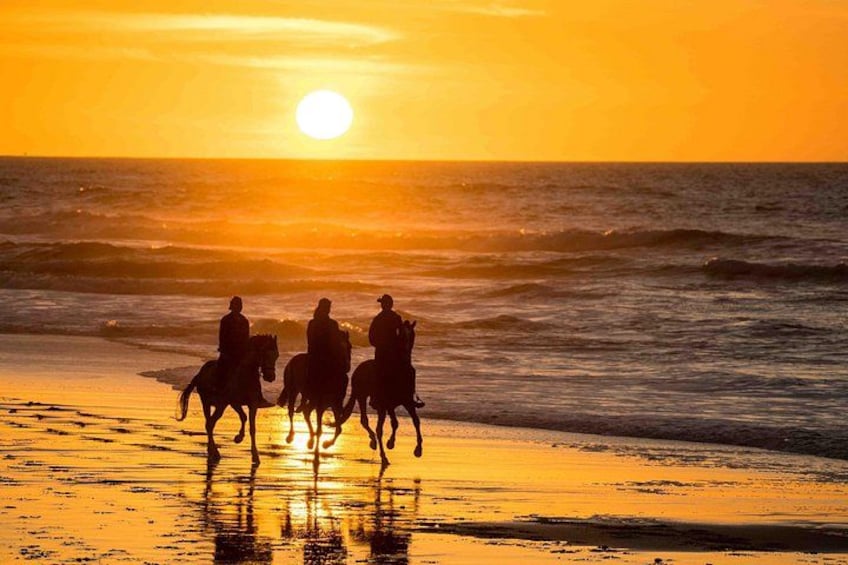 Un coucher de soleil sur l’océan, avec les silhouettes de personnes à cheval. 3