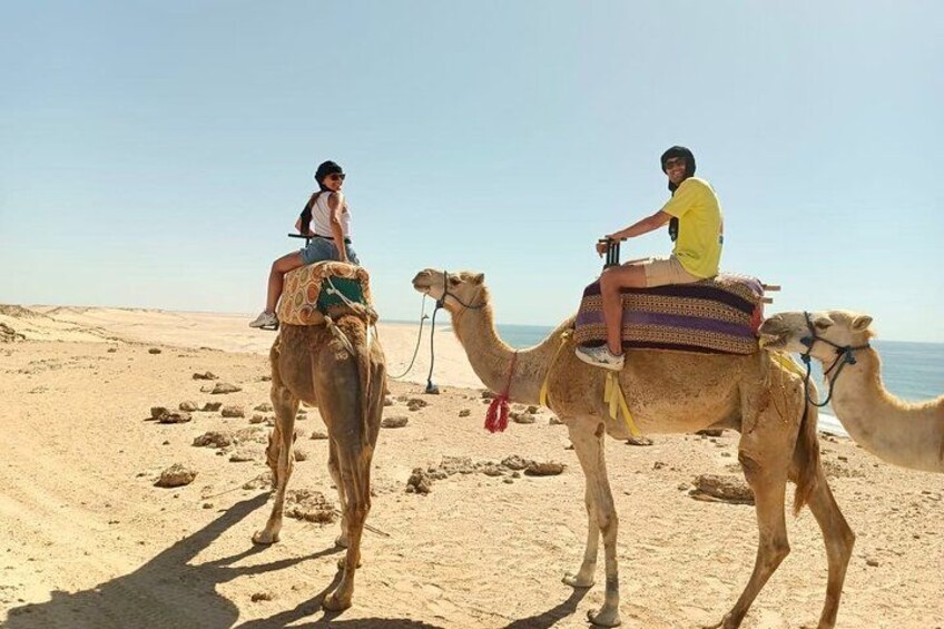 Dakhla Camel Ride Experience 1