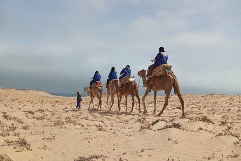 Dakhla Camel Ride Experience 3