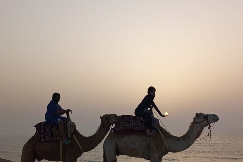 Dakhla Camel Ride Experience 2
