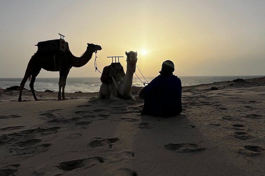 A camel and a person sitting on a beach at sunset. 2