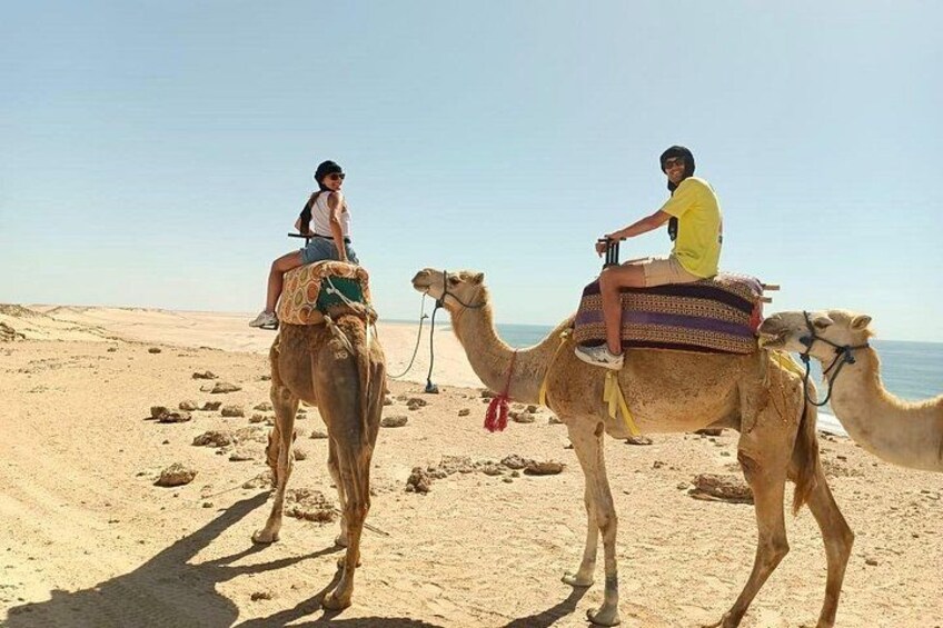 Two people riding camels on a sandy beach with the ocean in the background. 1