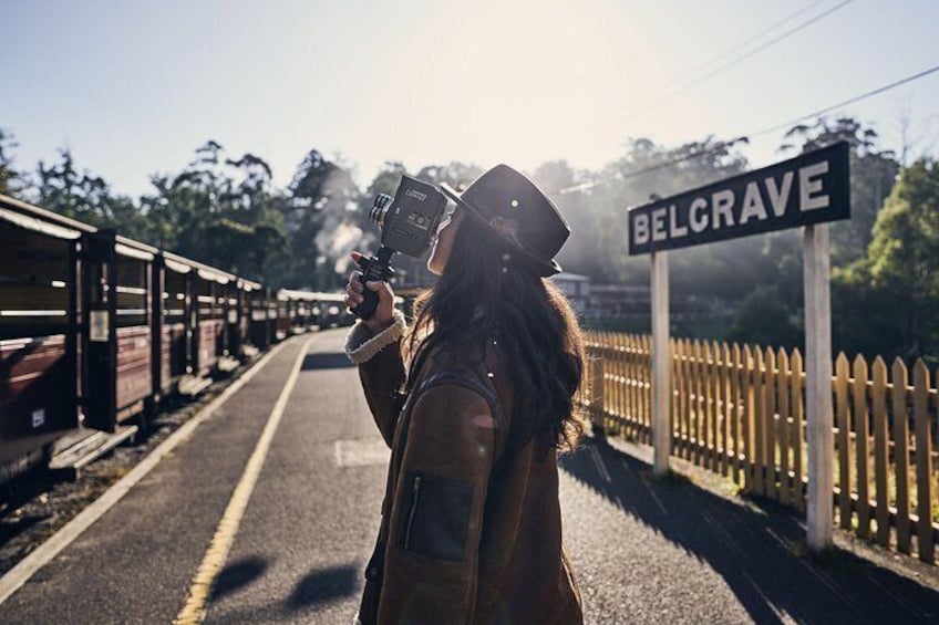 Puffing Billy Steam Train and Penguins Wildlife Tour 3