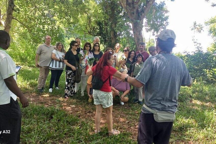 A group of people gathered outdoors, possibly in a park or natural setting, with trees and greenery in the background. 1
