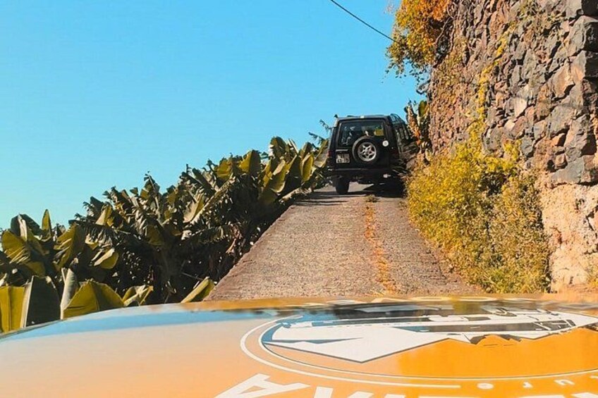 Jeep Safari 4x4 West Madeira - Porto Moniz - Fanal - Cabo Girão 4