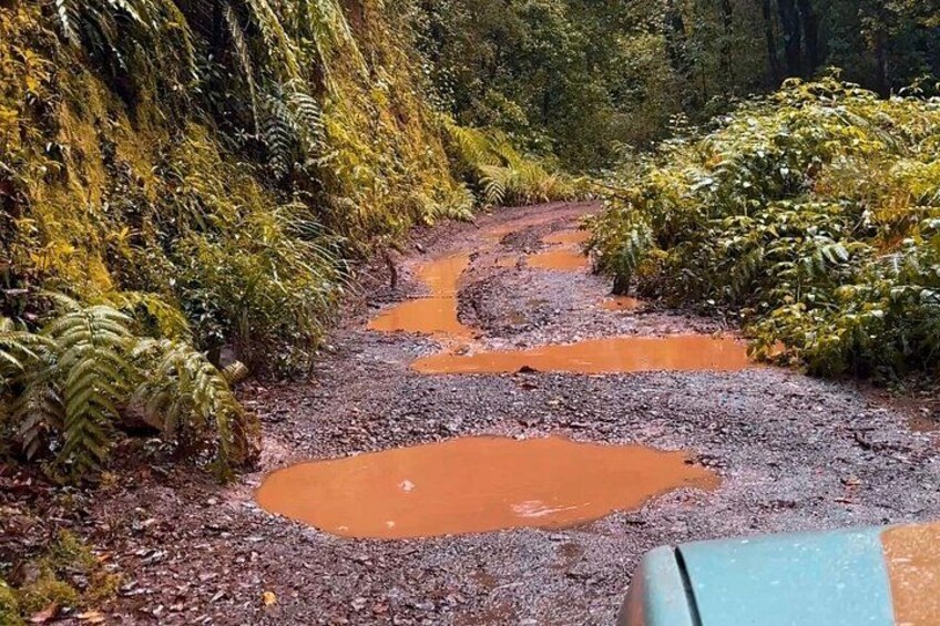 Madeira East 4x4 Jeep Tour: Pico do Arieiro & Santana 2