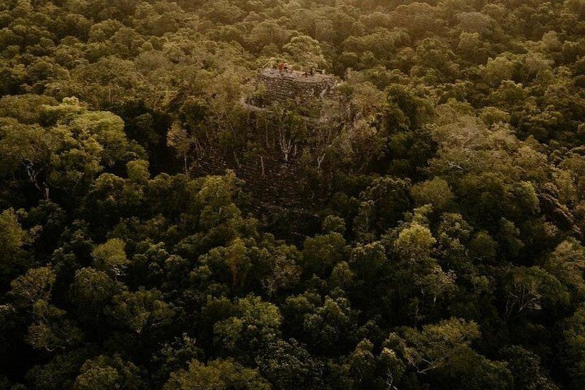 A dense forest with a small clearing in the center. 5