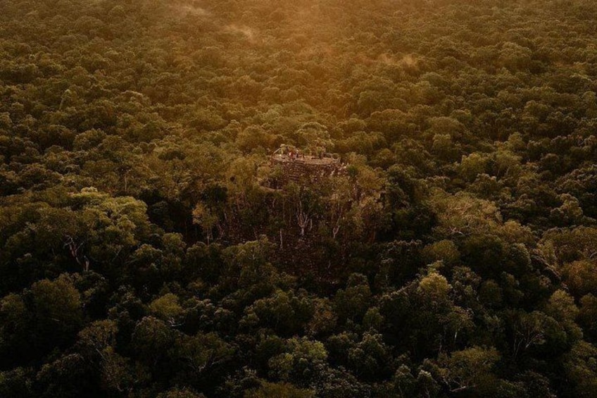 A dense forest with a small cluster of buildings in the center. 4