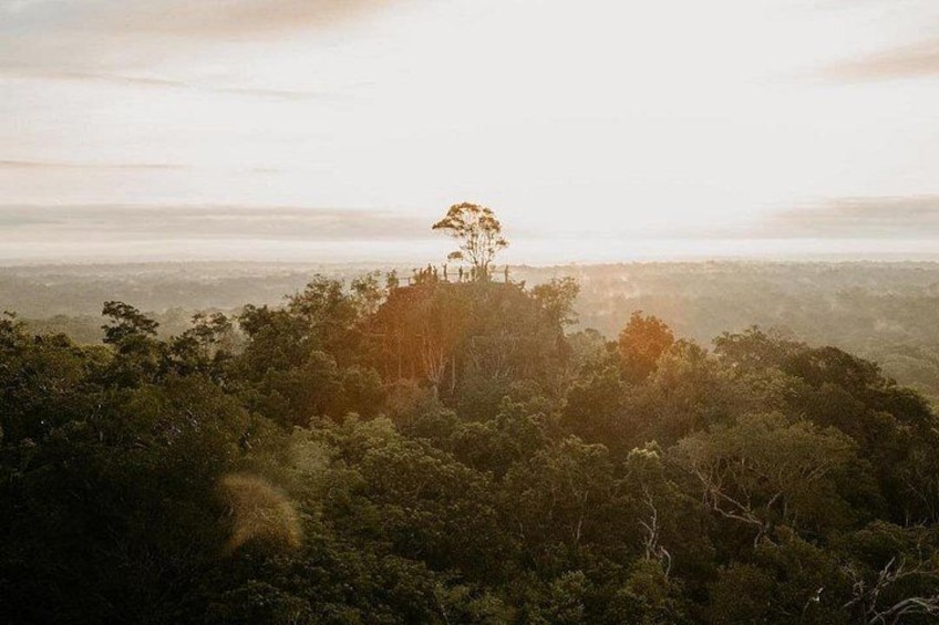A forested hilltop with a clear view of the landscape below. 2