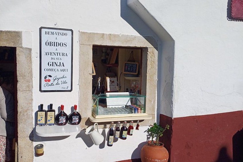 Un escaparate con un letrero que anuncia ginebra, una planta en maceta y varias botellas de ginebra. 2
