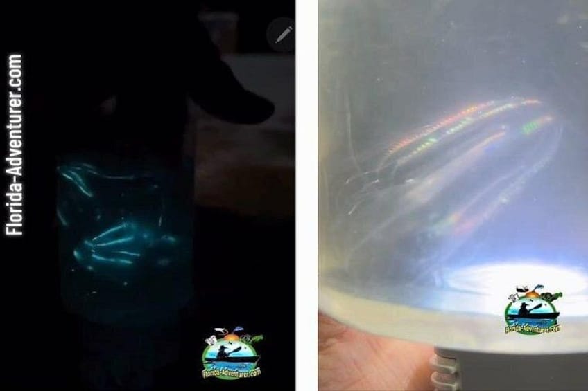 A dark room with a glowing object and a light source creating a rainbow effect. 5