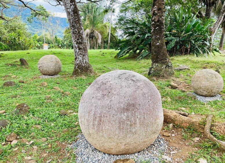 A garden with large spherical stones and lush greenery. 1