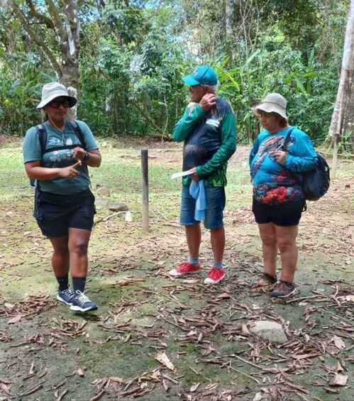 Picture 10 for Activity Uvita: Archaeological Sites with Spheres Stone 3