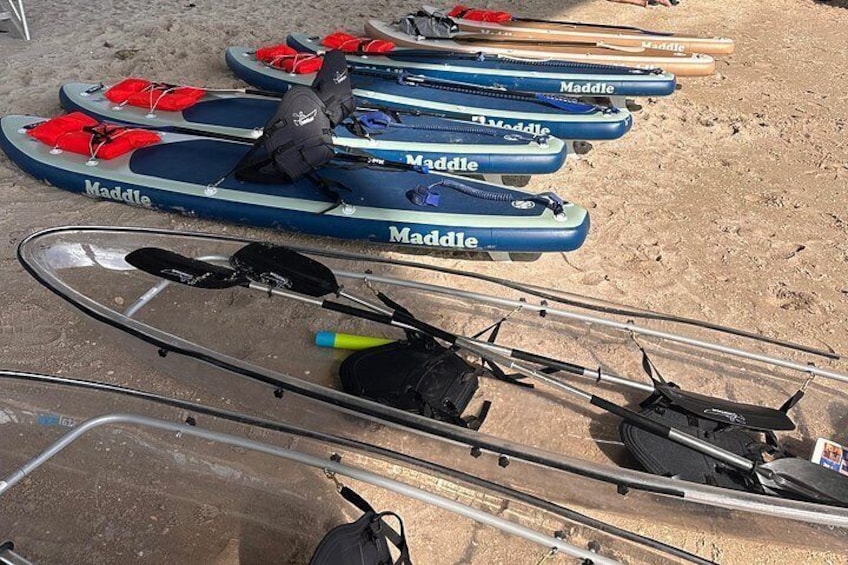 Clear Kayak Peanut Island Guided Tour Palm Beach Singer Island 2
