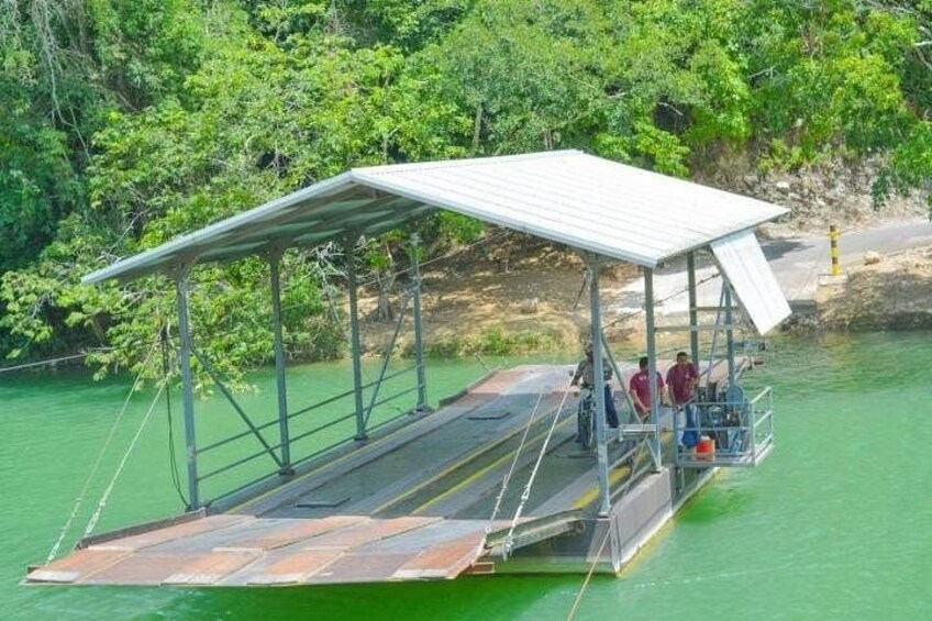 A pontoon boat with a metal roof and a platform, surrounded by green water and trees. 2