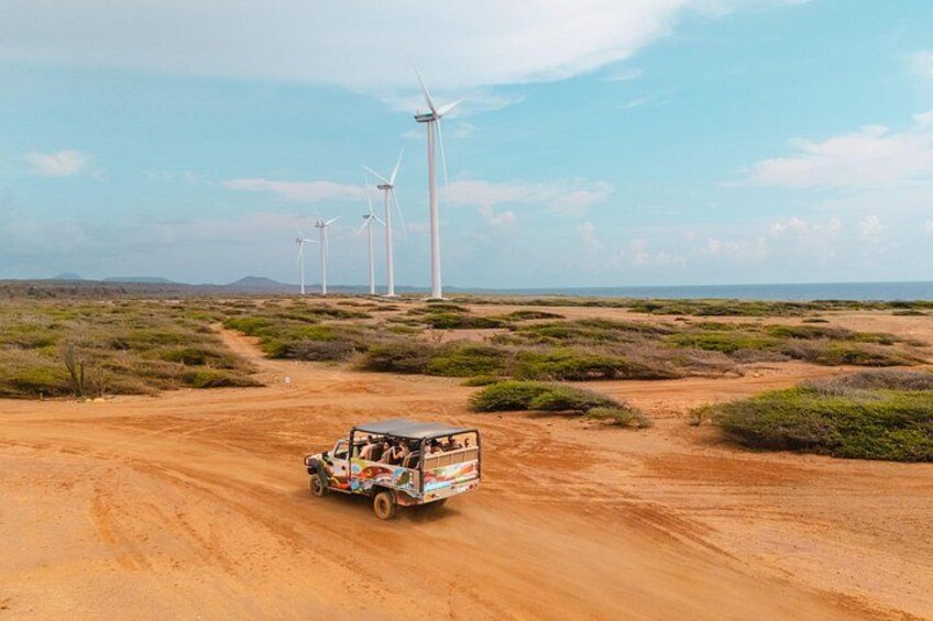 Paisaje desértico con un camino de tierra, un vehículo y aerogeneradores a lo lejos. 4