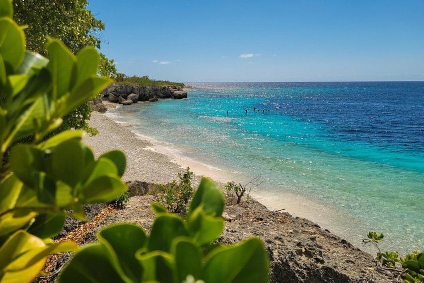 Half Day Off-Road & Snorkel Safari 3