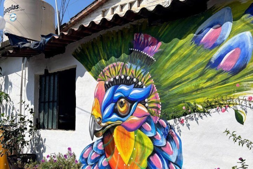 Sayulita Local Flavors 3