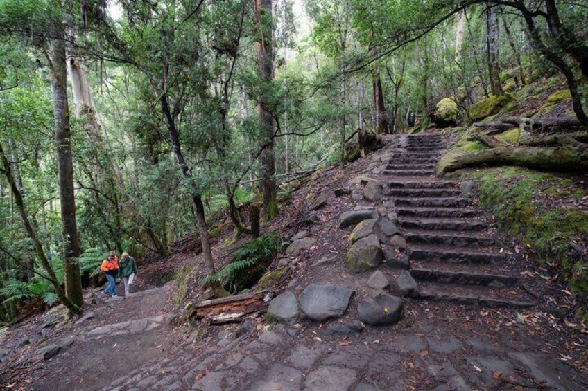 Zona boscosa con una escalera de piedra que asciende una colina, rodeada de árboles y rocas. 5