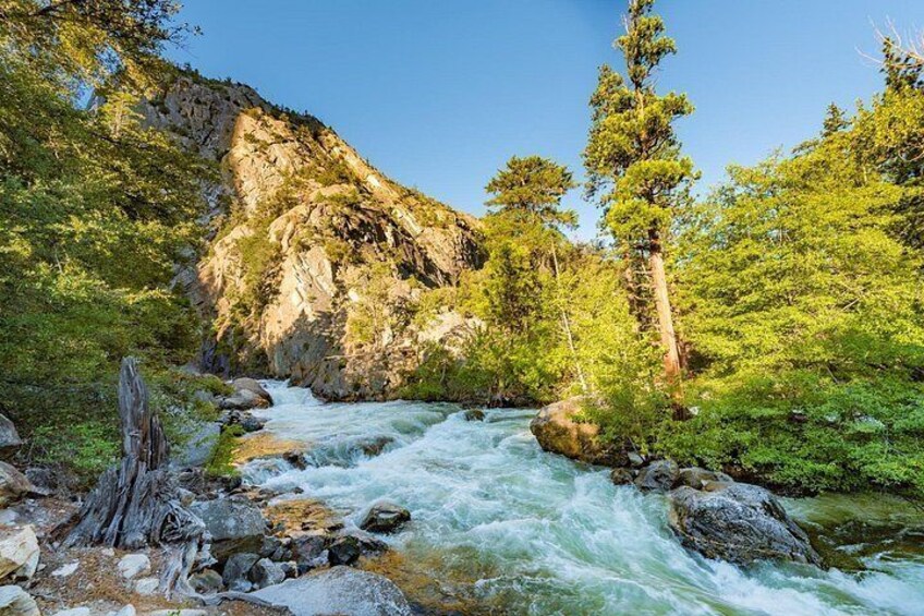 Roaring River Falls 3