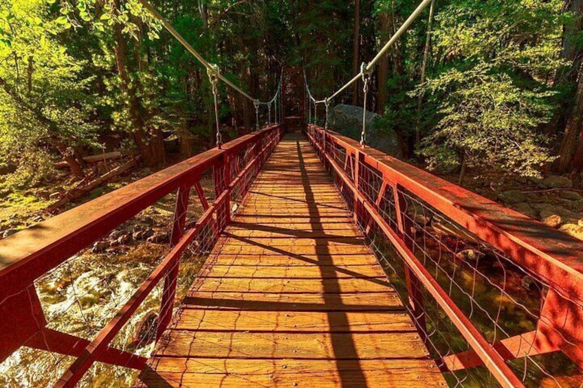 Suspension Foot Bridge 2