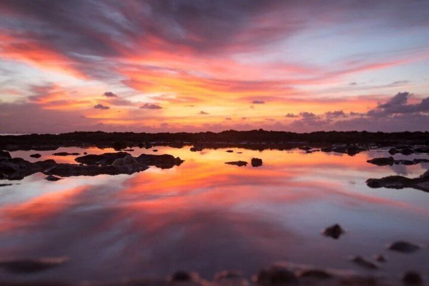 Bioluminescent Bay Adventure in Grand Cayman 3