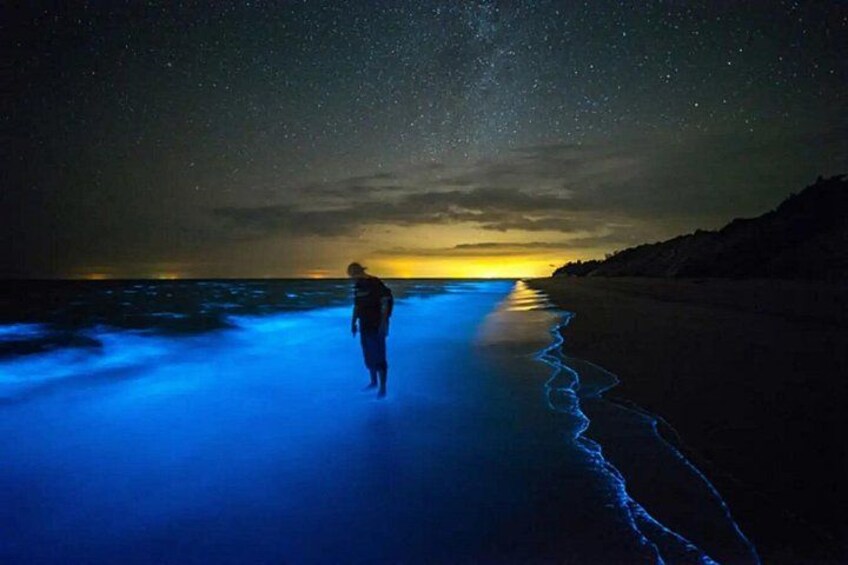 Bioluminescent Bay Adventure in Grand Cayman 2