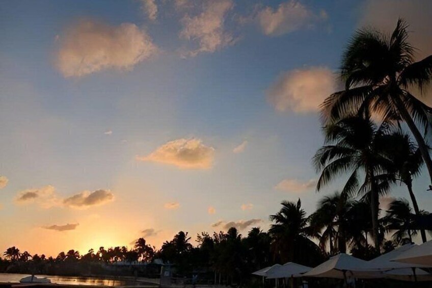 Bioluminescent Bay Adventure in Grand Cayman 2