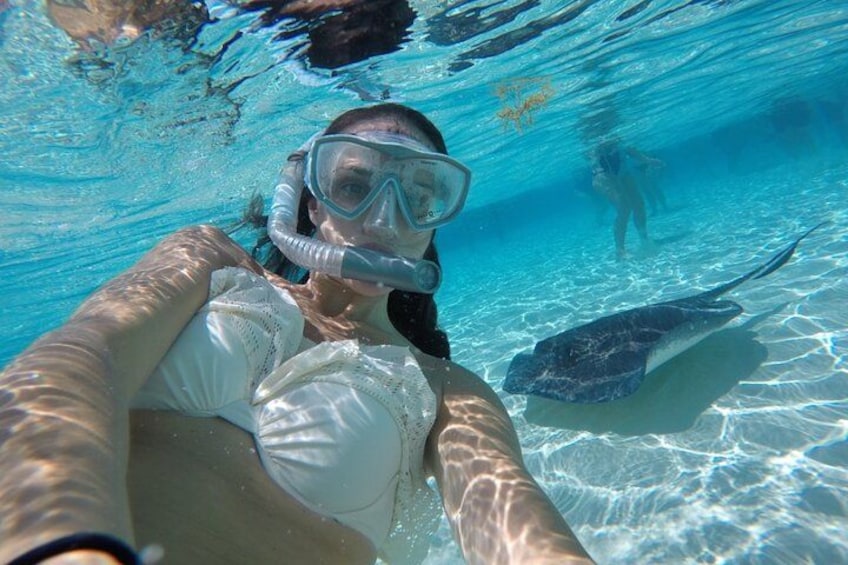 A person snorkeling underwater with a stingray nearby. 5