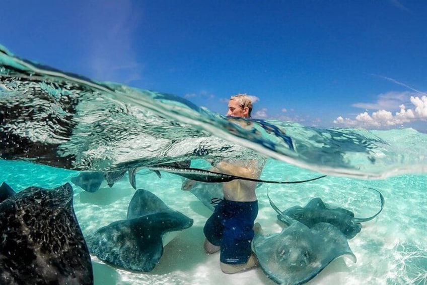 A person snorkeling underwater with stingrays and a clear blue sky above. 2