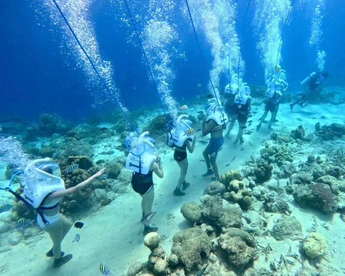 SeaTrek Tour St Maarten 2