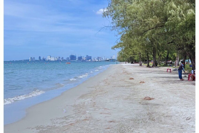 Una playa con un horizonte urbano al fondo, árboles y algunas personas. 3