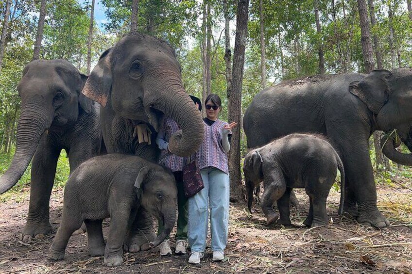 A person standing with three elephants in a forest. 5