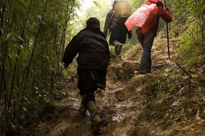 Two people hiking through a forested area with dense bamboo and a muddy trail. 4