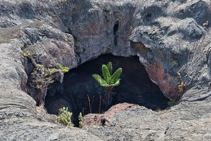 Un cratère volcanique, avec une petite plante qui pousse sur son bord. 4