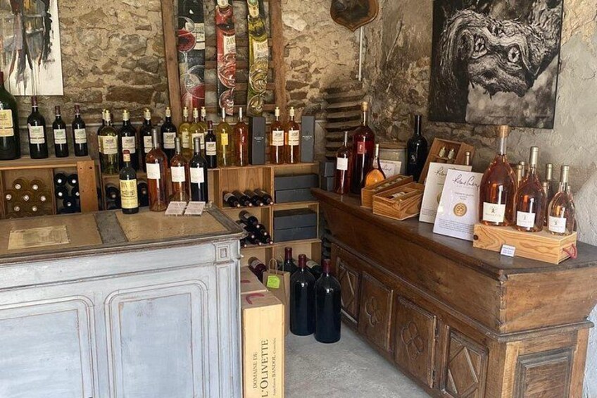 2 Best Villages of Var Region and Wine Tasting from Sanary port 2