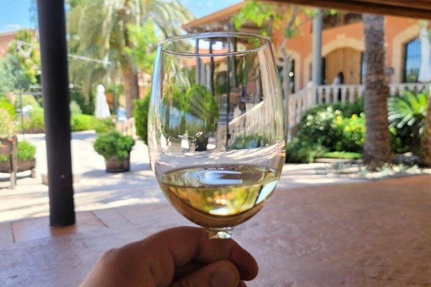Wine Tour in and Wine Tasting 2