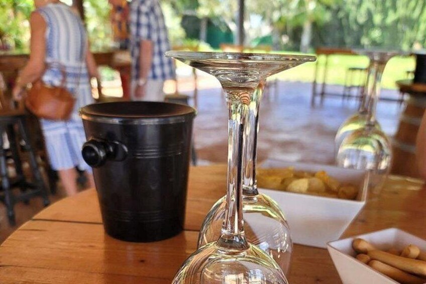 Wine Tour in and Wine Tasting 4