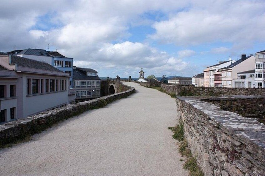 Private Tour of Lugo and Castro de Viladonga from A Coruña 2