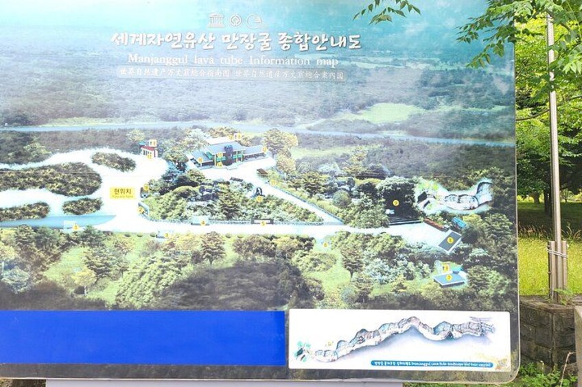 Private Half Day tour Manjanggul Lava tube in Jeju island 2