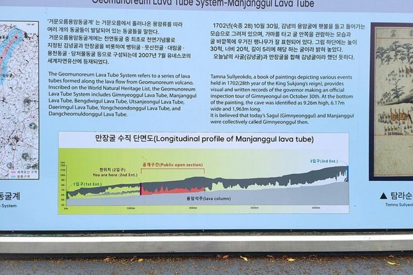 Private Half Day tour Manjanggul Lava tube in Jeju island 3