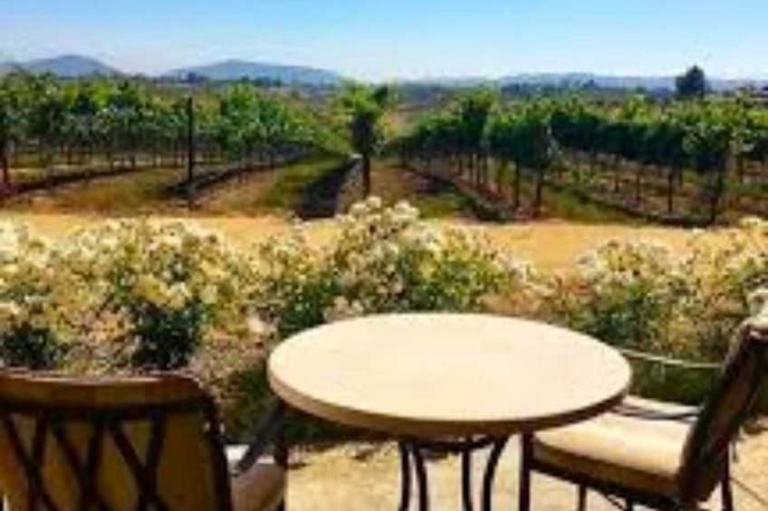 Small Group Wine Tour to Temecula from Los Angeles 4