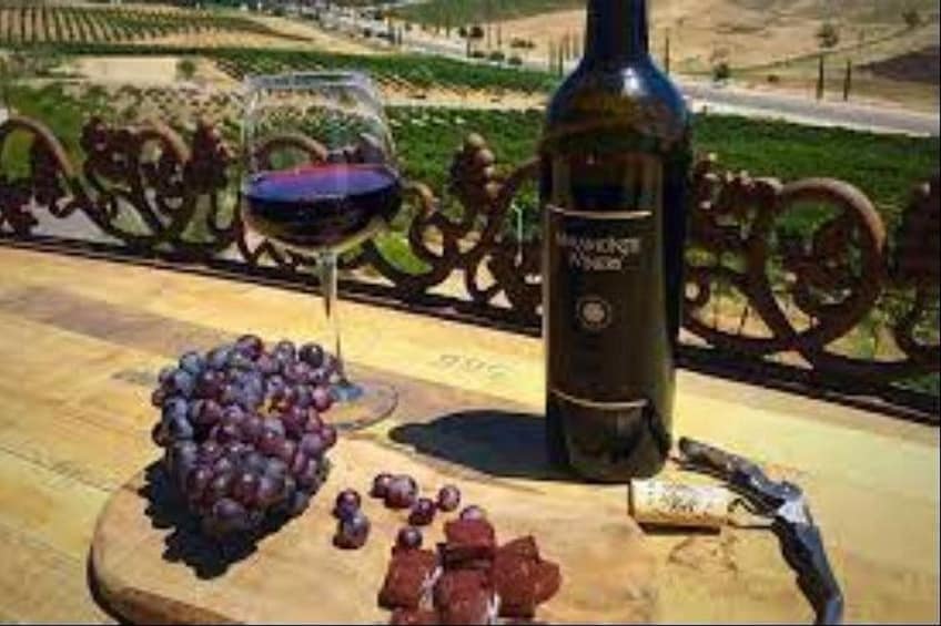 Una botella de vino, una copa de vino tinto y un racimo de uvas sobre una mesa, con una vista panorámica al fondo. 1