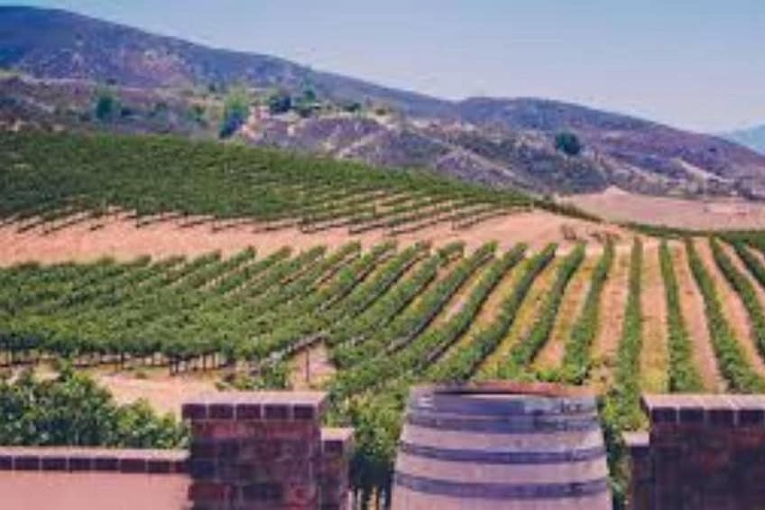 Small Group Wine Tour to Temecula from Los Angeles 3